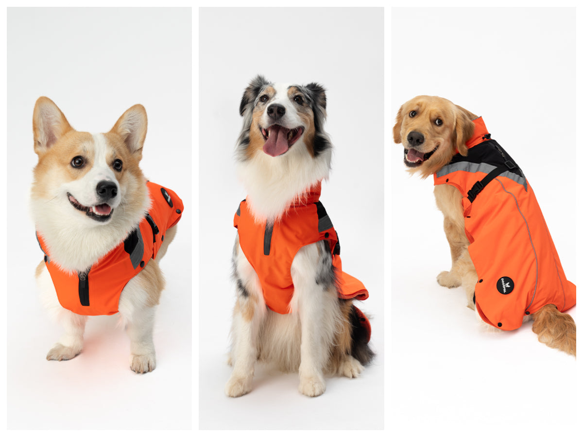 DOGOPAL All-Season Dog Coat with Removable Fleece - – Waterproof Dog Raincoat for Small & Large Dogs
