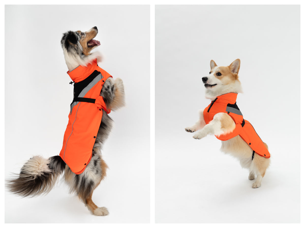 DOGOPAL All-Season Dog Coat with Removable Fleece - – Waterproof Dog Raincoat for Small & Large Dogs