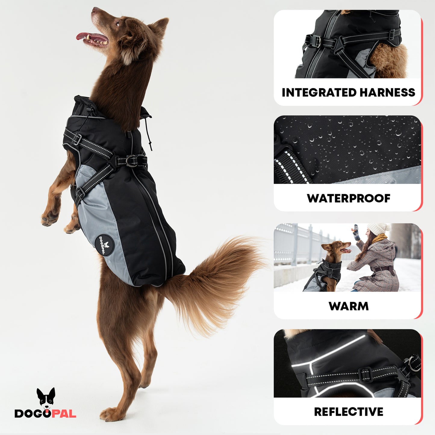 DOGOPAL Dog Raincoat with Built-in Harness