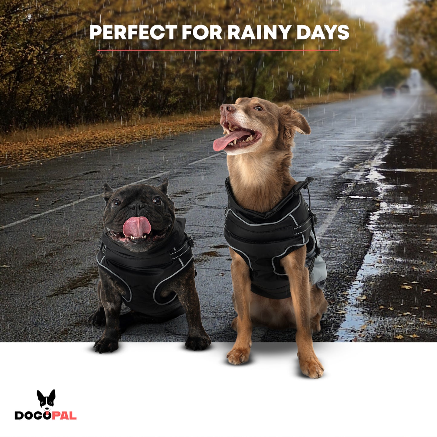 DOGOPAL Dog Raincoat with Built-in Harness