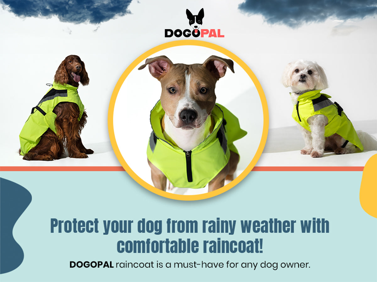 DOGOPAL Dog Raincoat- Reflective and Waterproof - for Small, Medium and Large Dogs