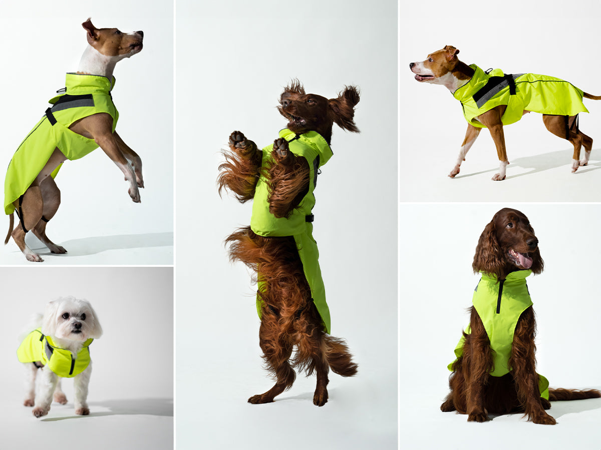 DOGOPAL Dog Raincoat- Reflective and Waterproof - for Small, Medium and Large Dogs