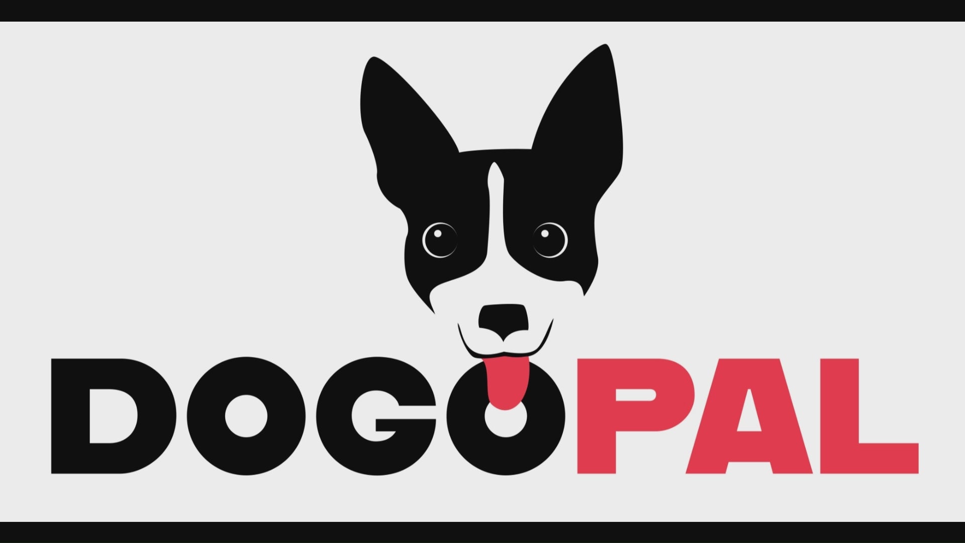 Waterproof Dog Raincoat