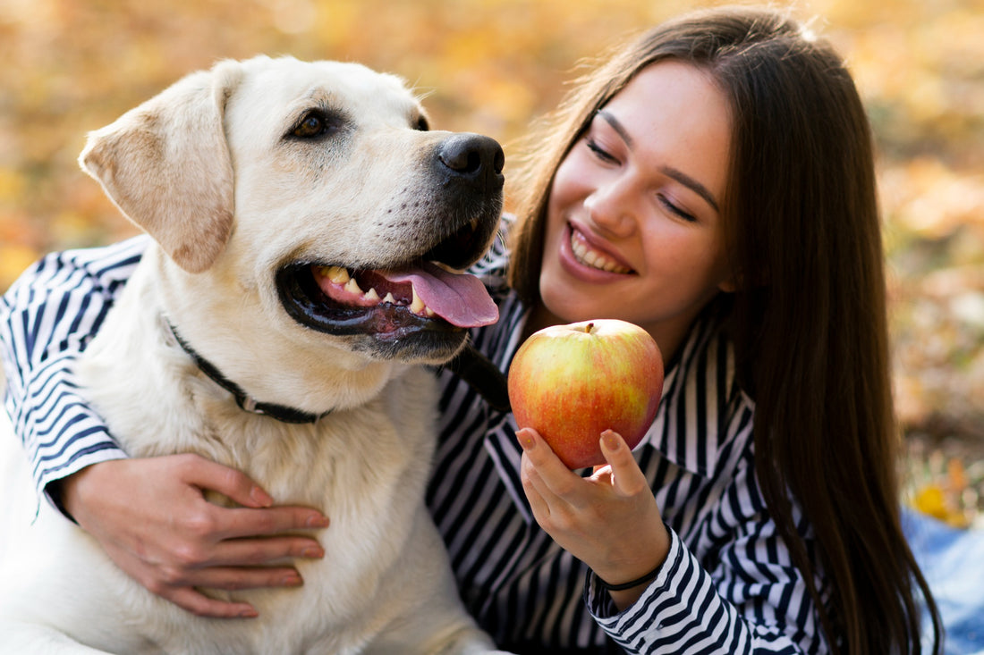 7 Must-Know Tips for New Dog Owners: The Ultimate Guide to Happy and Healthy Pups!