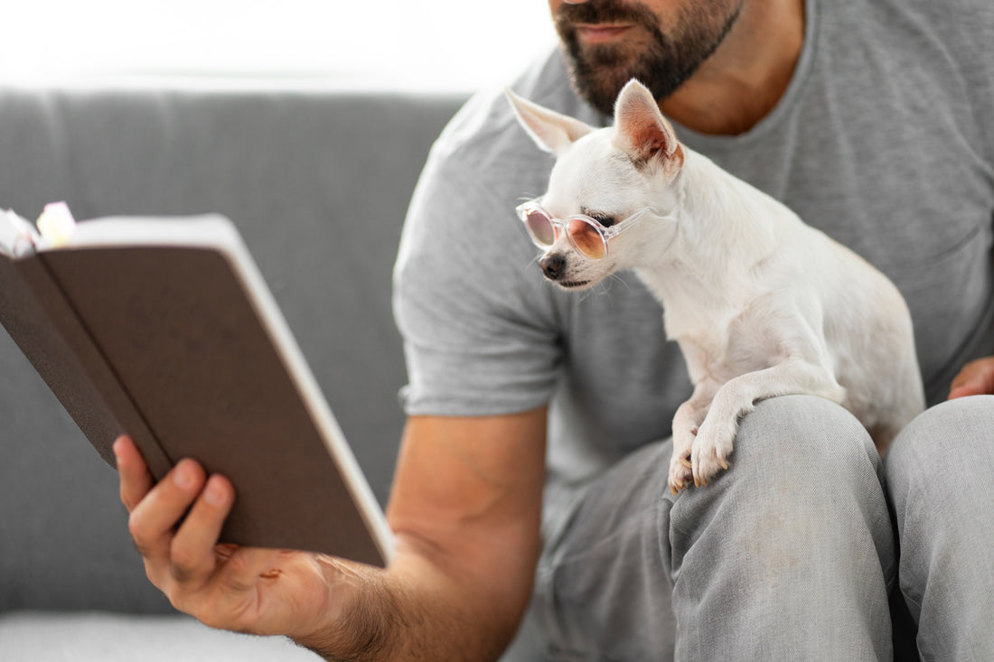 Is Your Dog Secretly Smarter Than You Think?