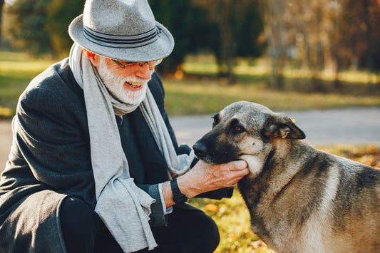 The Surprising Benefits of Adopting an Older Dog!