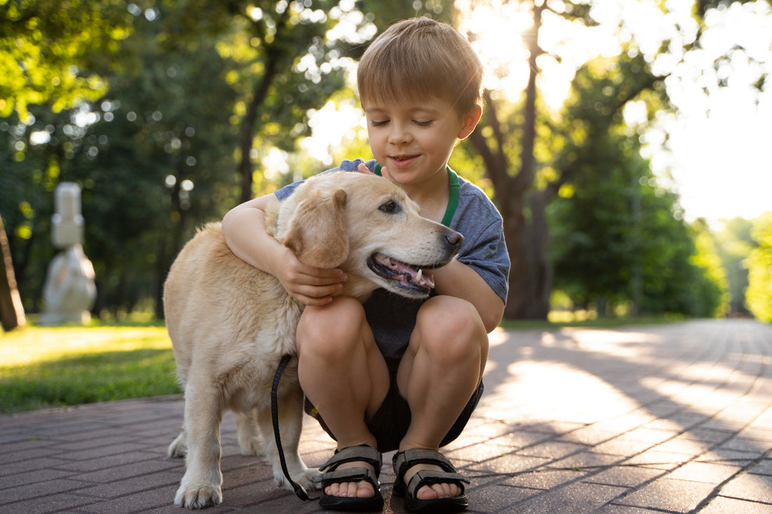 The Top 10 Dog Breeds for Families with Kids