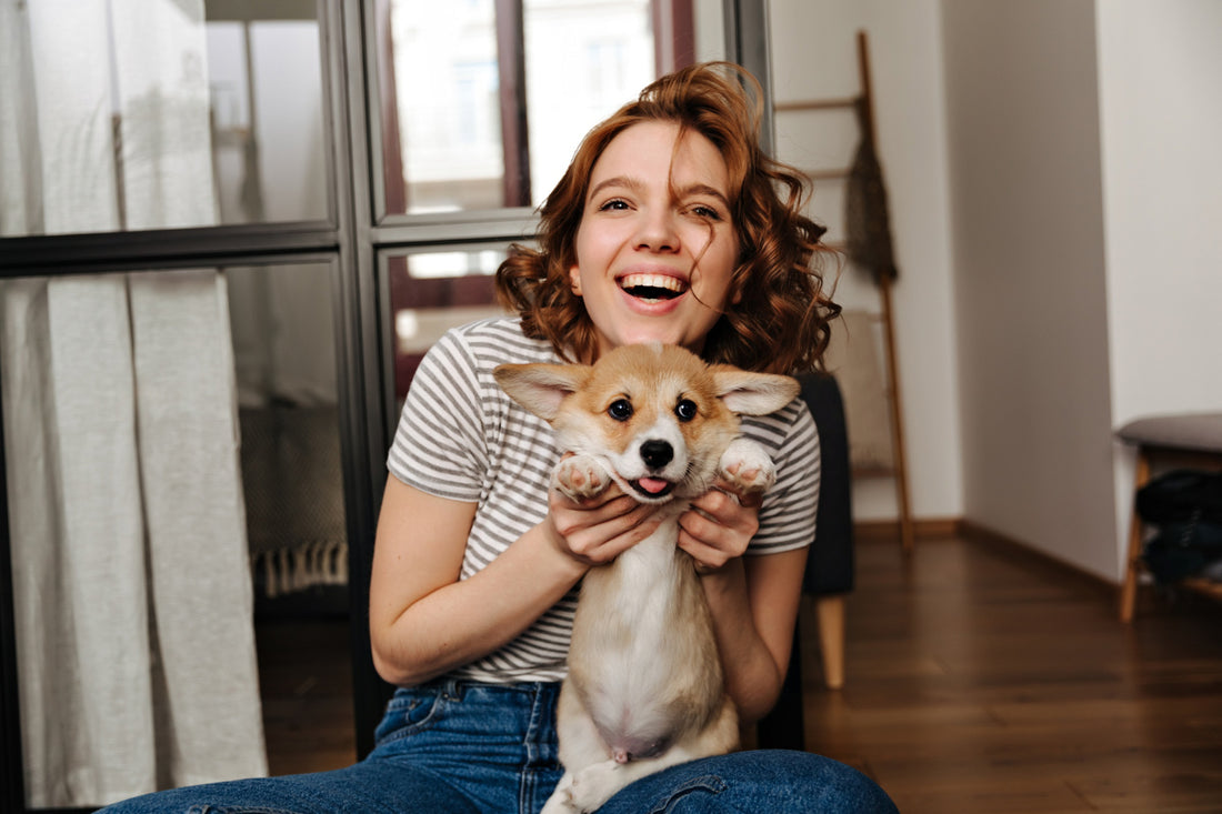 The Surprising Benefits of Having a Dog in Your Life