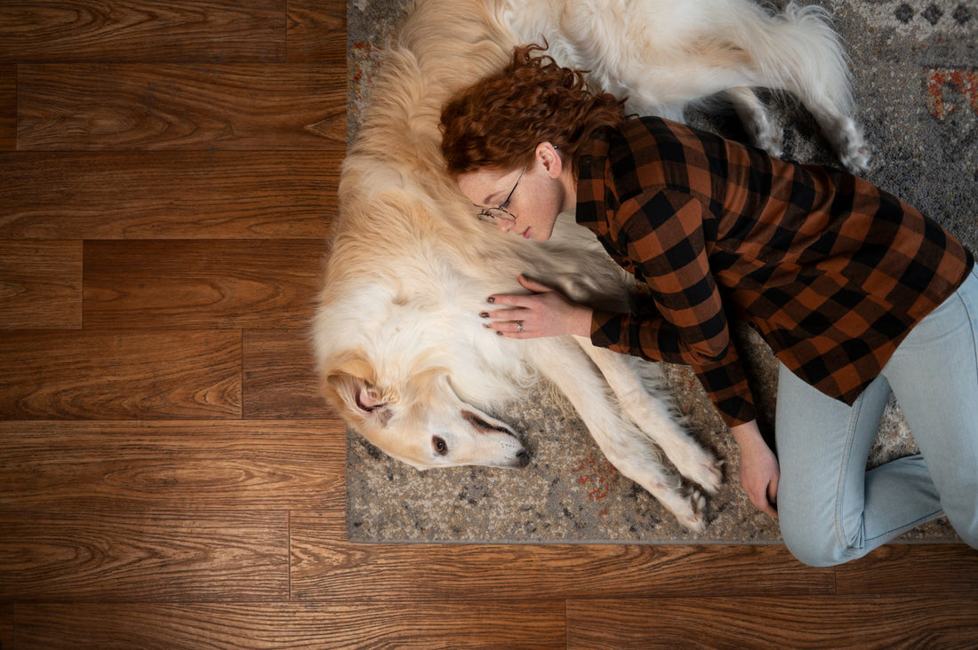 7 Secrets Your Dog is Keeping from You