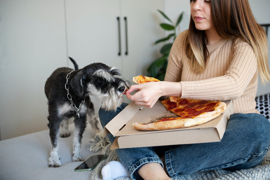 The Hidden Risks of Feeding Your Dog Human Food - Experts Warn!