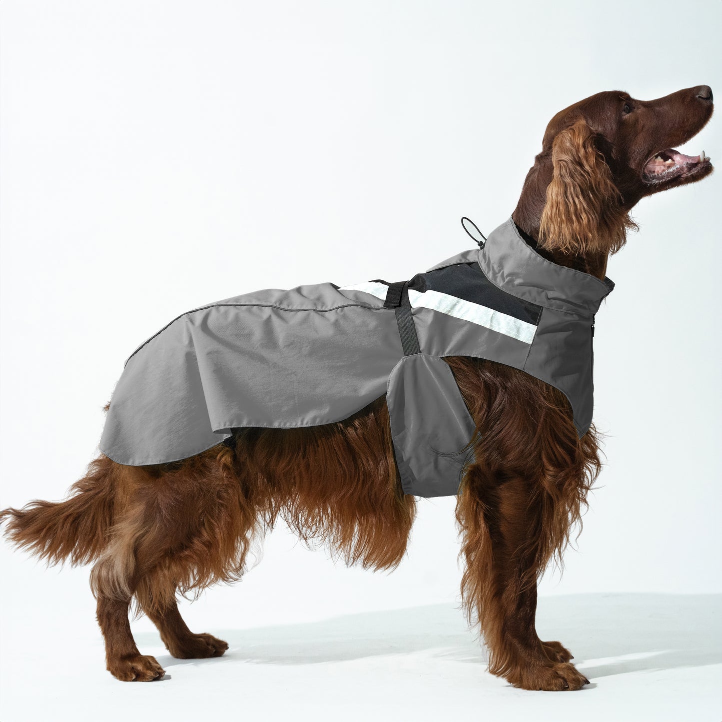 DOGOPAL Dog Raincoat- Reflective and Waterproof - for Small, Medium and Large Dogs