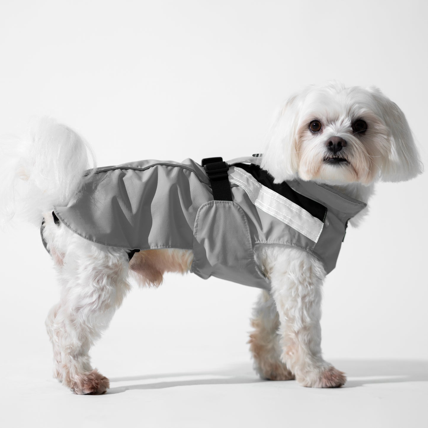 DOGOPAL Dog Raincoat- Reflective and Waterproof - for Small, Medium and Large Dogs