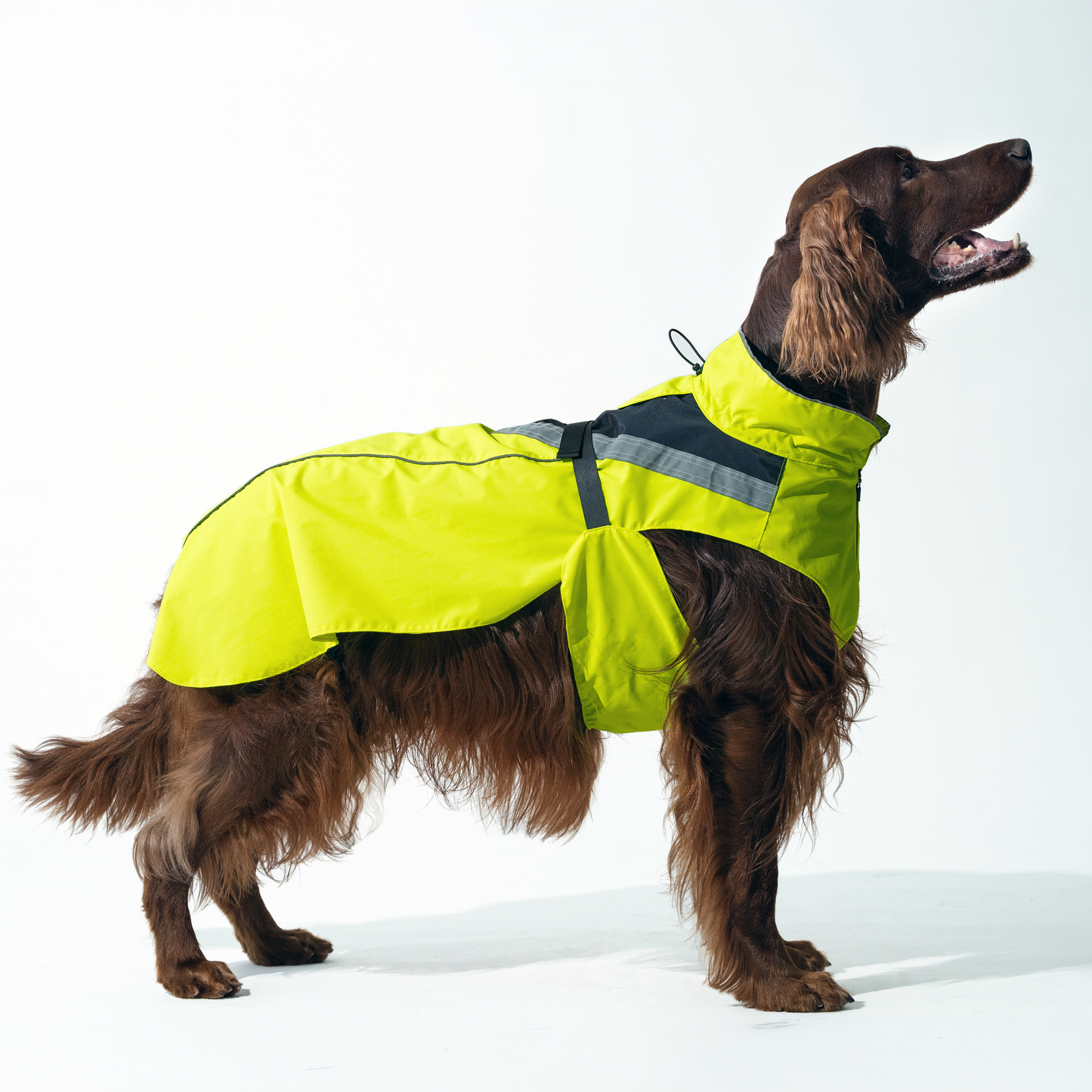 DOGOPAL Dog Raincoat- Reflective and Waterproof - for Small, Medium and Large Dogs