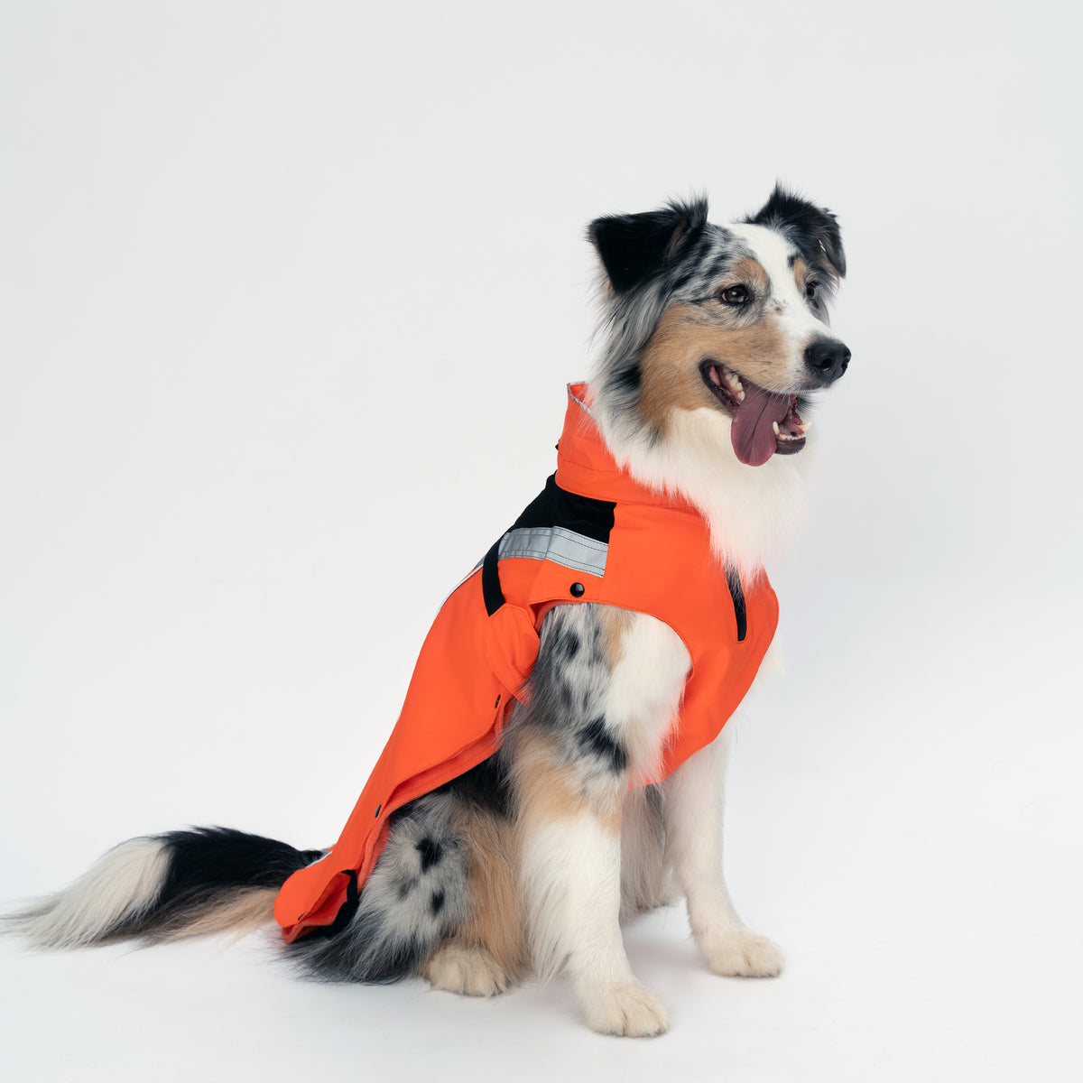 DOGOPAL All-Season Dog Coat with Removable Fleece - – Waterproof Dog Raincoat for Small & Large Dogs