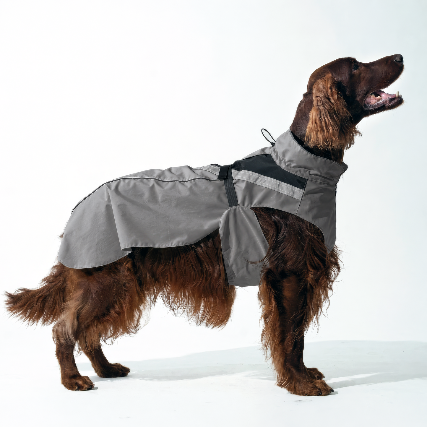 DOGOPAL Dog Raincoat- Reflective and Waterproof - for Small, Medium and Large Dogs