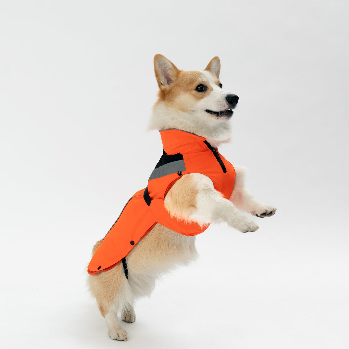 DOGOPAL All-Season Dog Coat with Removable Fleece - – Waterproof Dog Raincoat for Small & Large Dogs