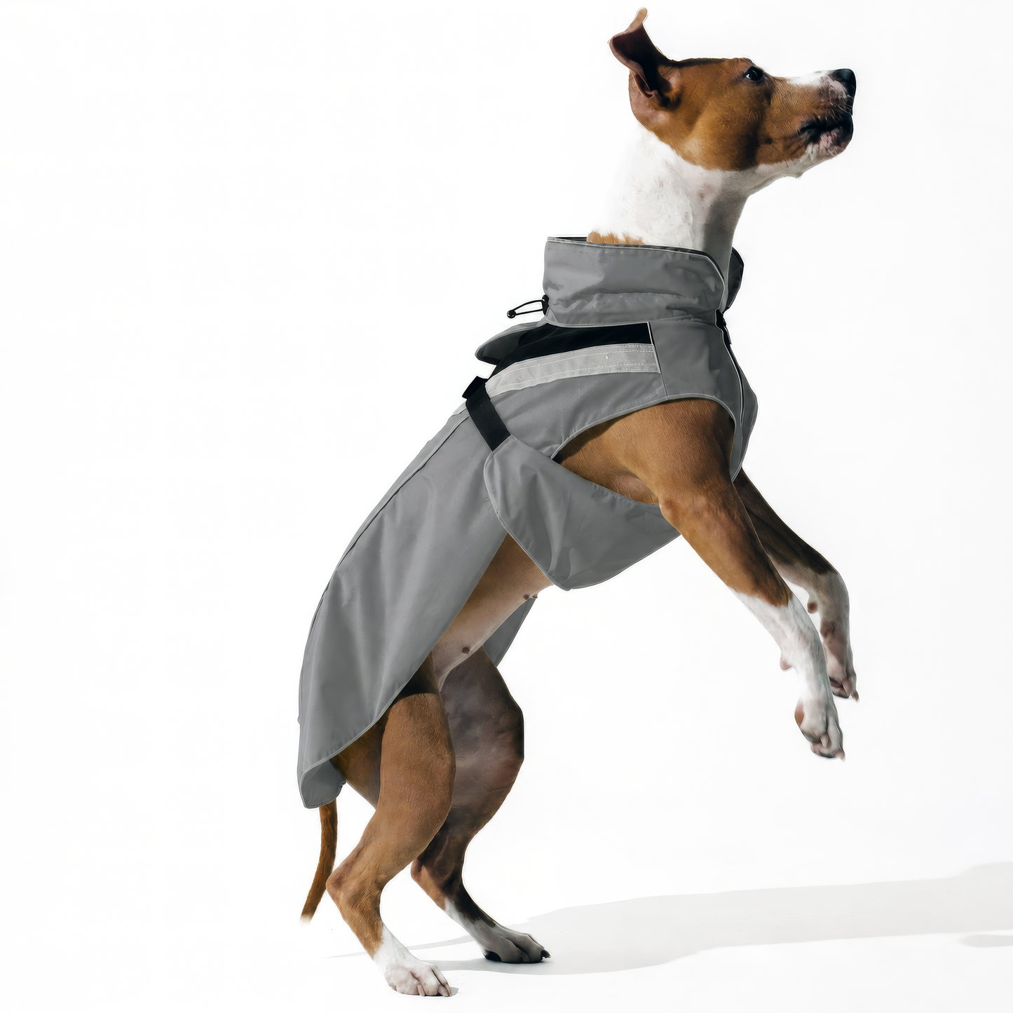 DOGOPAL Dog Raincoat- Reflective and Waterproof - for Small, Medium and Large Dogs