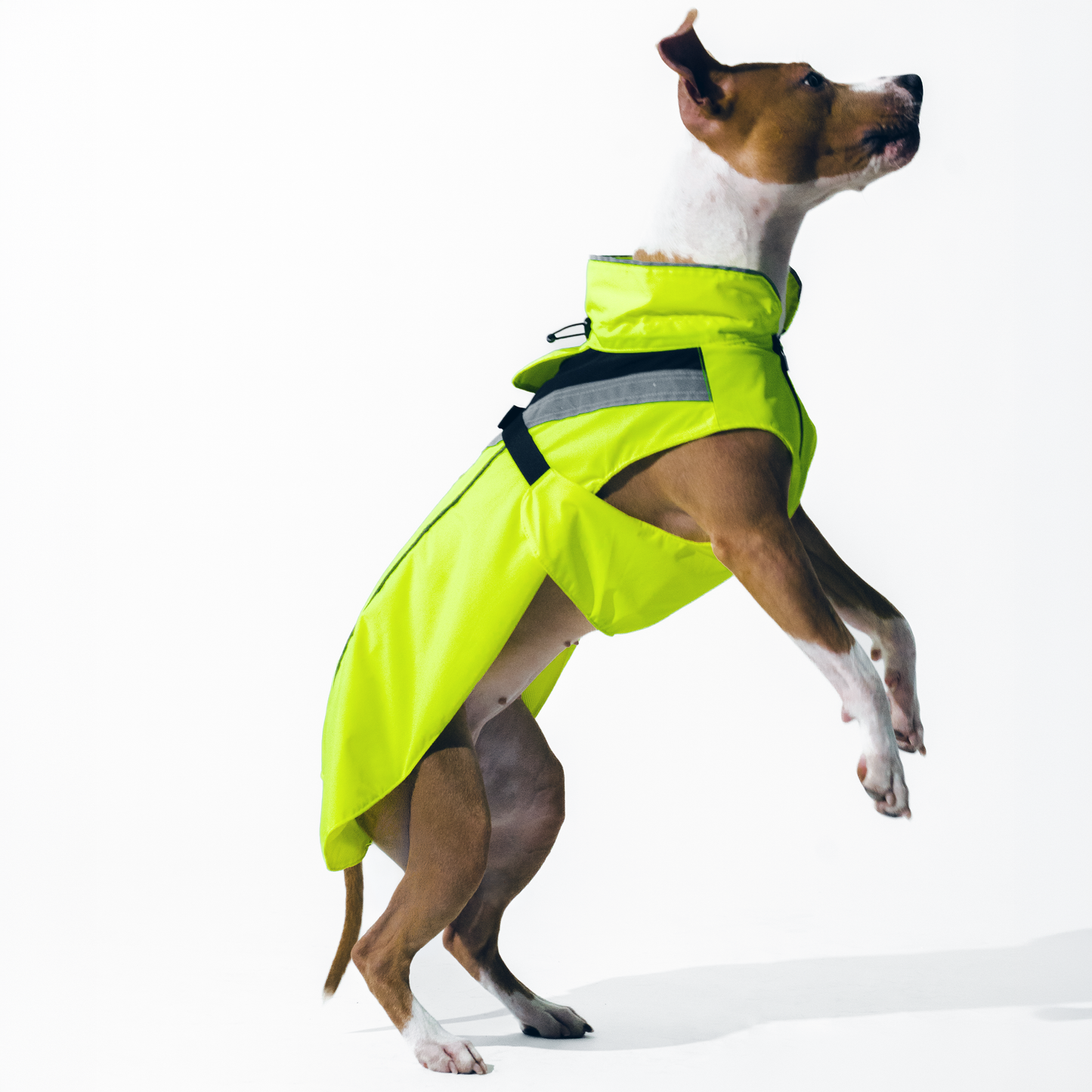 DOGOPAL Dog Raincoat- Reflective and Waterproof - for Small, Medium and Large Dogs