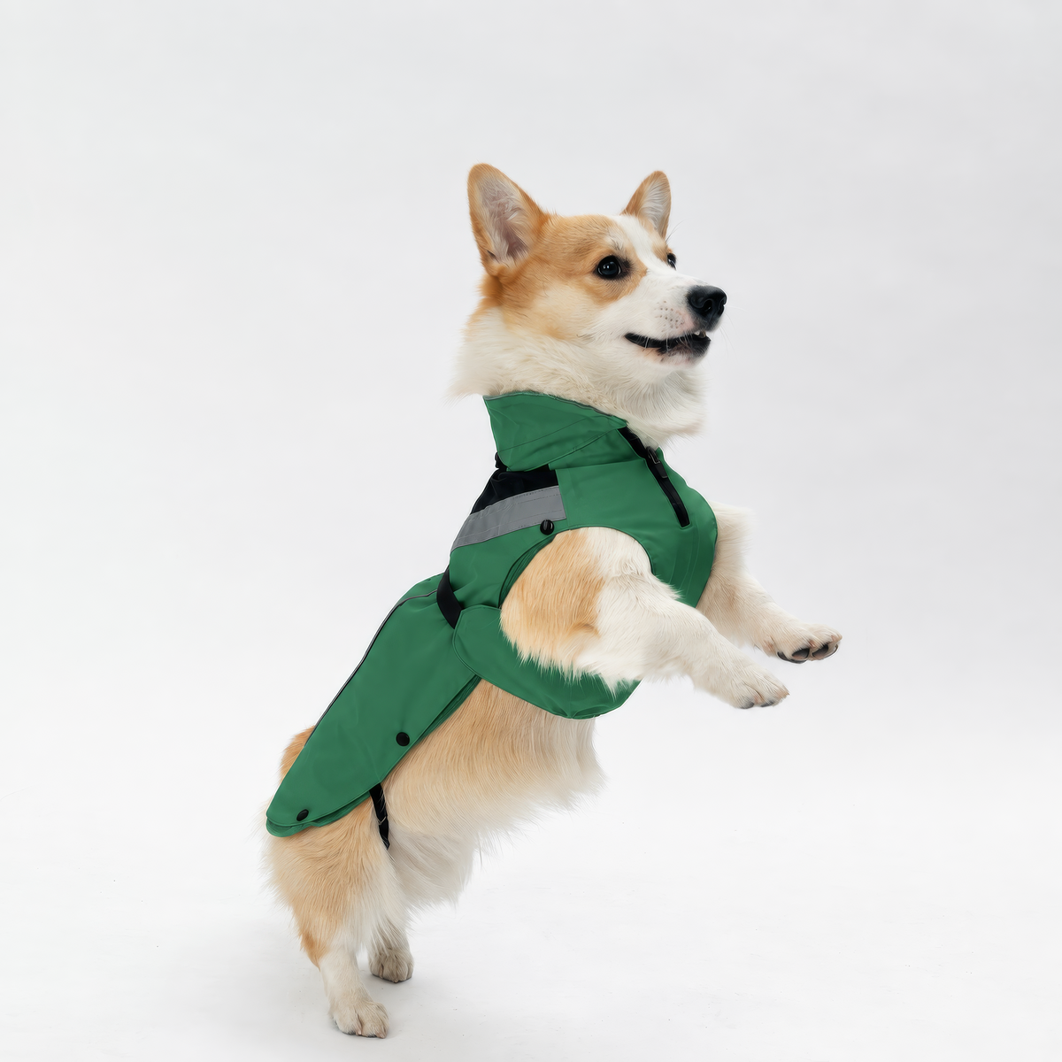 DOGOPAL All-Season Dog Coat with Removable Fleece – Waterproof Dog Raincoat for Small & Large Dogs GREEN