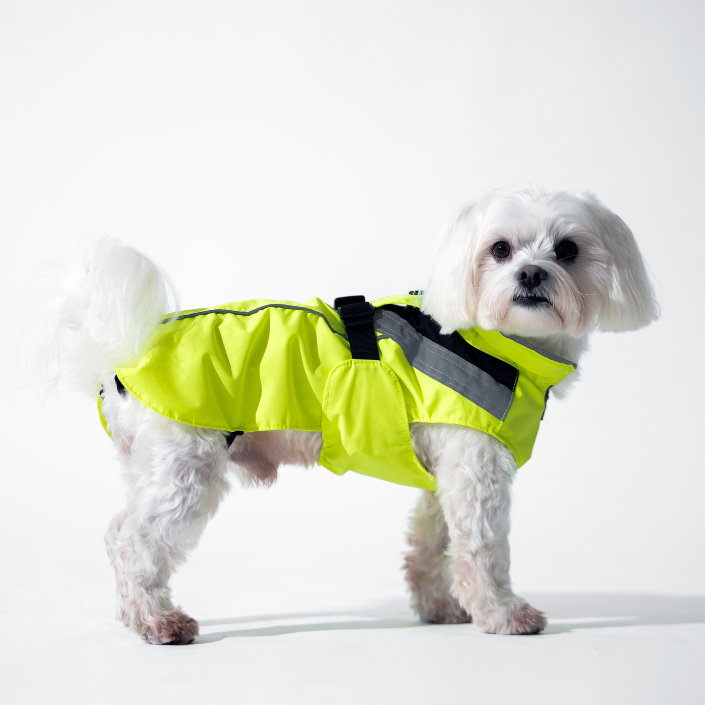 DOGOPAL Dog Raincoat- Reflective and Waterproof - for Small, Medium and Large Dogs