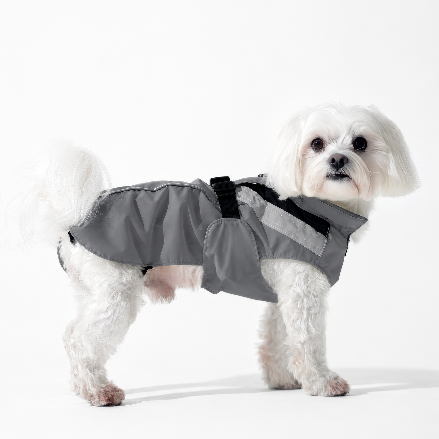 DOGOPAL Dog Raincoat- Reflective and Waterproof - for Small, Medium and Large Dogs