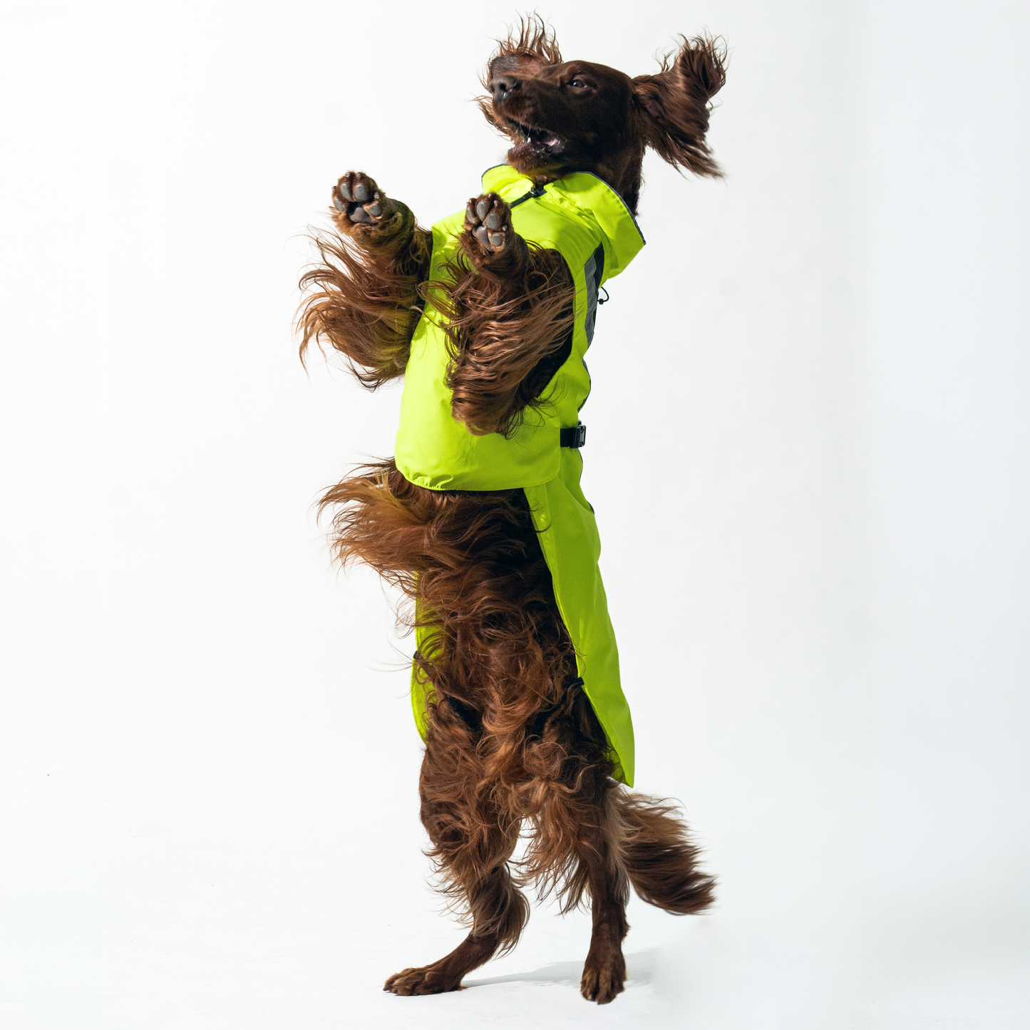 DOGOPAL Dog Raincoat- Reflective and Waterproof - for Small, Medium and Large Dogs