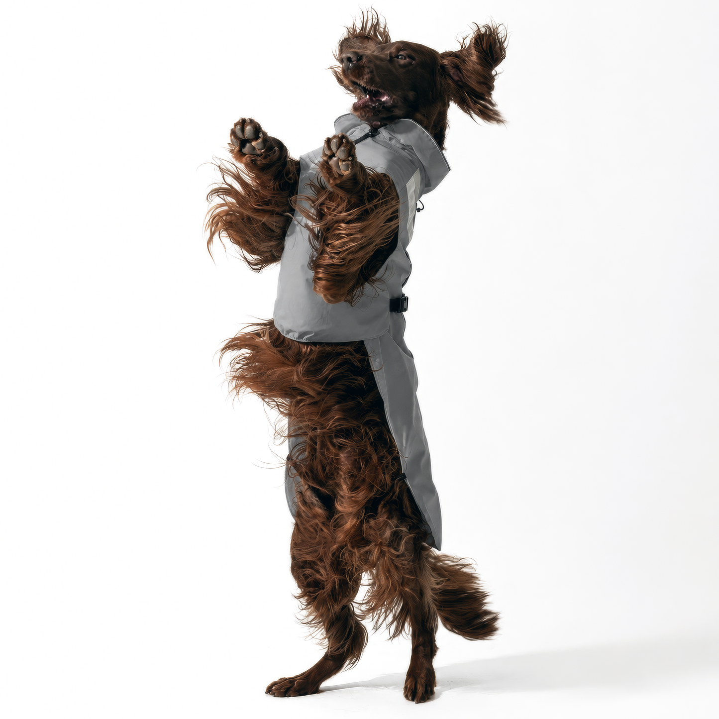 DOGOPAL Dog Raincoat- Reflective and Waterproof - for Small, Medium and Large Dogs
