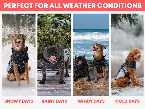 DOGOPAL Dog Raincoat with Built-in Harness