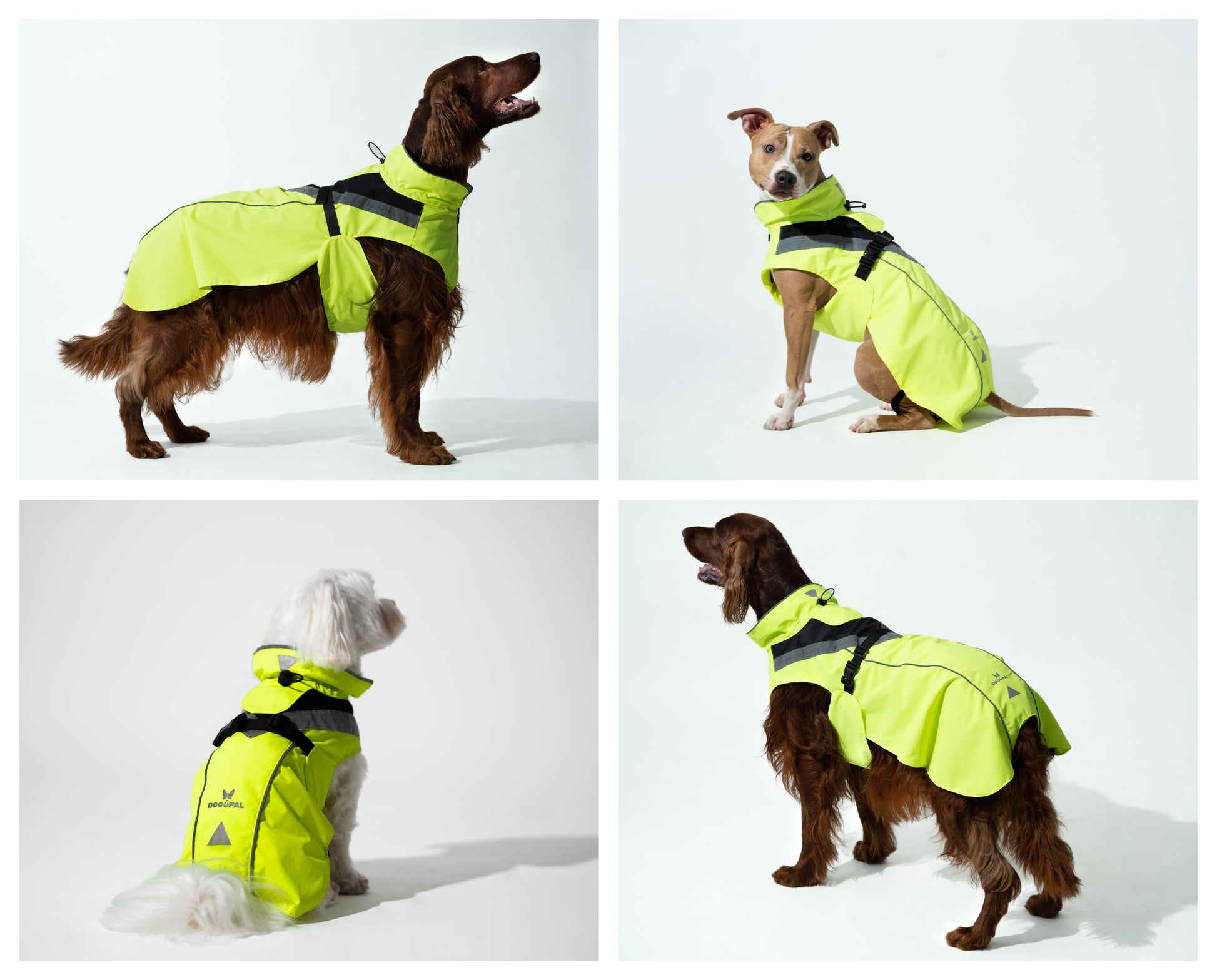 Waterproof Dog Raincoat