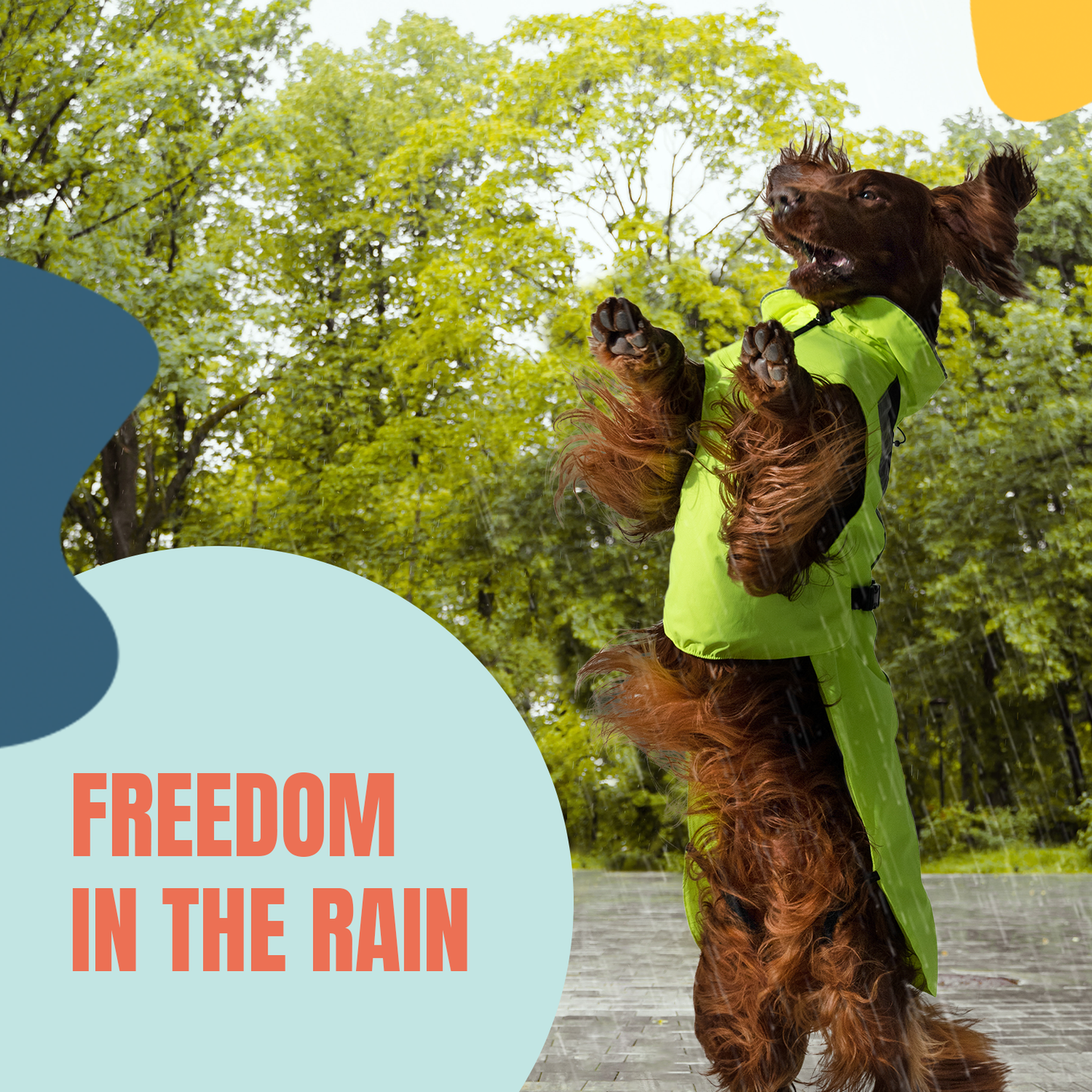 Waterproof Dog Raincoat